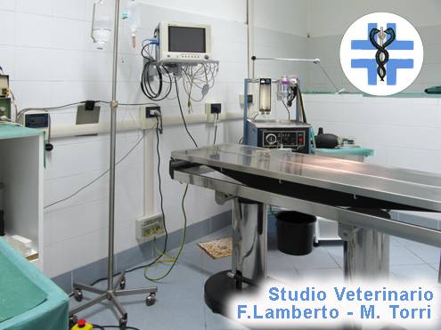 Studio Veterinario Lamberto - Torri